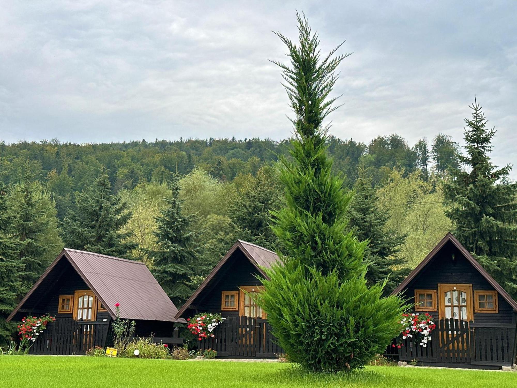 Niro Residence Gura Humorului Exteriör bild